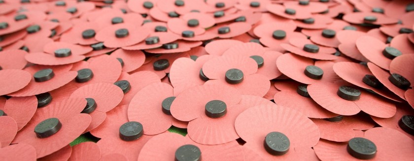 paper-poppies